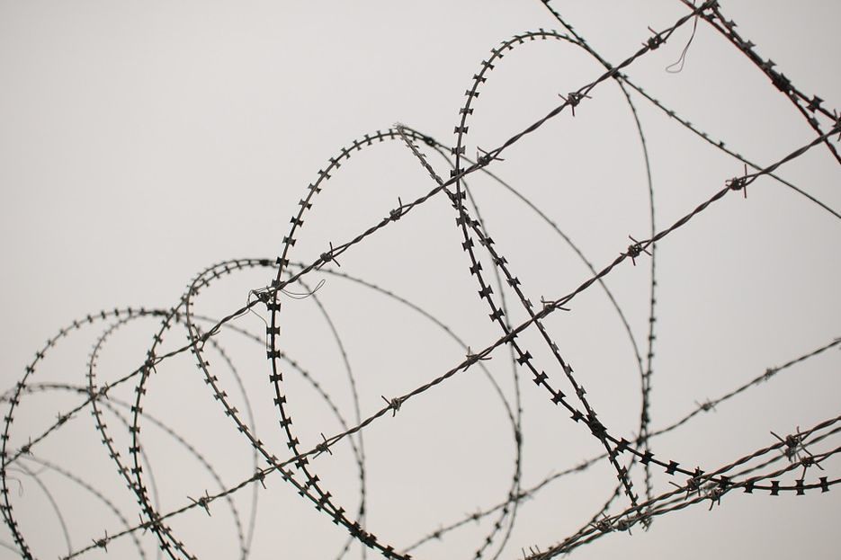 Stacheldraht / pixabay / gemeinfrei