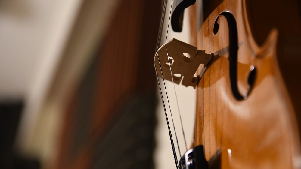 Cello / MAGstd/Pixabay Rico Gulda: OÖ Stiftskonzerte geben Bühne für Klassik und Innovation