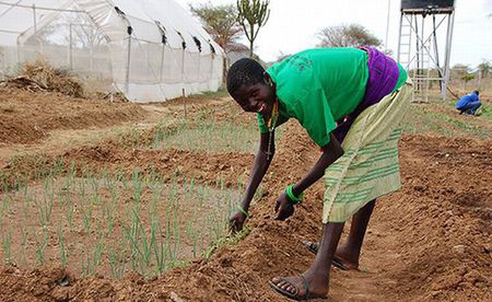 Uganda - Landbauprojekt der Caritas Kärnten / Caritas Kärnten