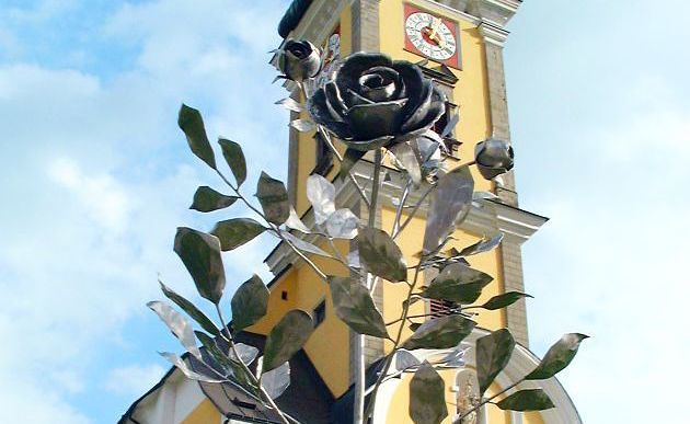Friedensrose Waldhausen / Wolfgang Zarl