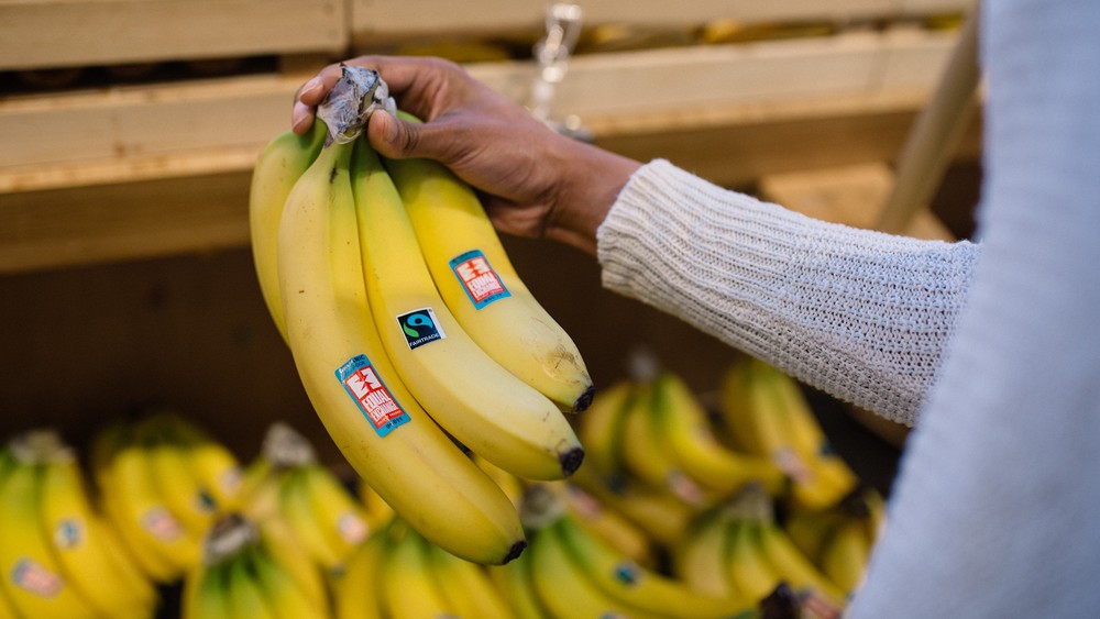 30 Jahre 'Fairtrade': Nachhaltigkeit und Erfolg kein Widerspruch / Fairtrade America Fairtrade-Geschäftsführer: Frauen stärken, Diskriminierung bekämpfen