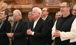 Österreichs Bischöfe freuen sich auf Zusammenarbeit mit Grünwidl