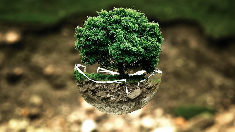 Ökologie / pixabay.com / CC0 public domain 10 Jahre 'Laudato si': KJ und Orden mahnen Schöpfungsverantwortung ein